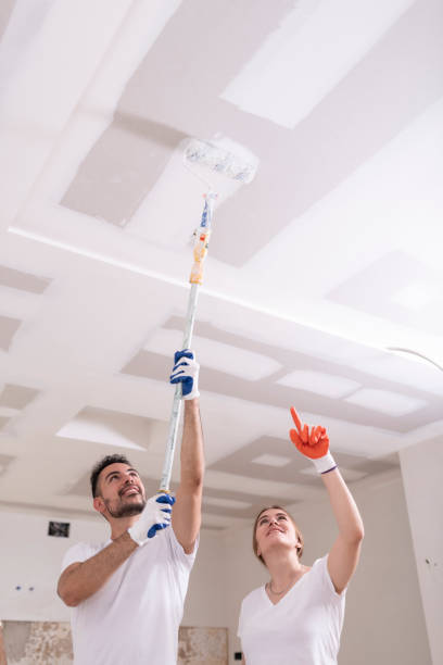 Best Water Damage & Mold Remediation  in Six Mile, SC