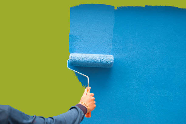 Trusted Six Mile, SC Mold Removal Experts